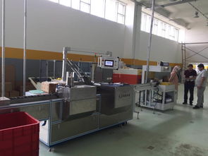 廣州裝盒機.威化餅干自動裝盒機,真空包裝機械