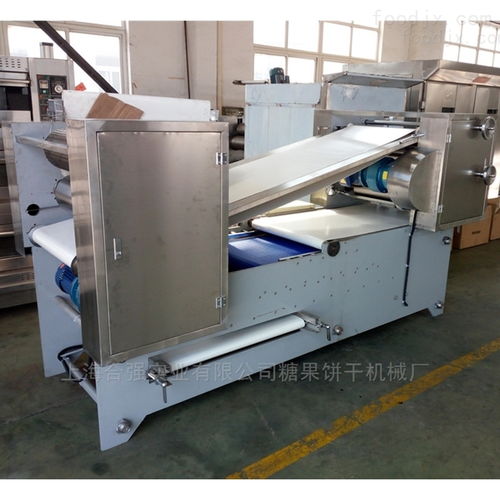全自動卡通韌性餅干生產線 滾切餅干設備