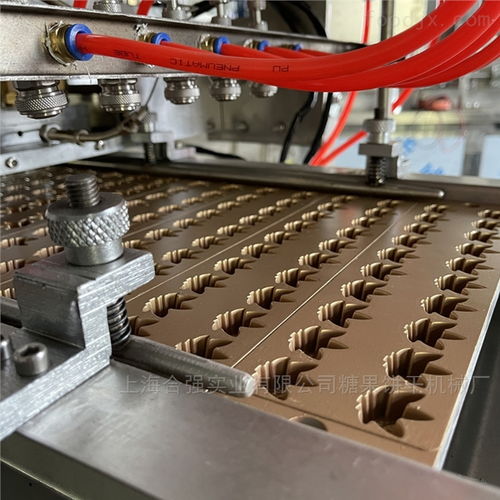 帶噴油裝置軟糖機(jī)器 上海合強(qiáng)hq tg50型