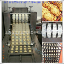 電烤箱烤餅干、價格與采購指南 從烘焙到批發的完整產業鏈解析