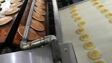 餅干機(jī)械品牌大全 國(guó)內(nèi)外主流制造商深度解析